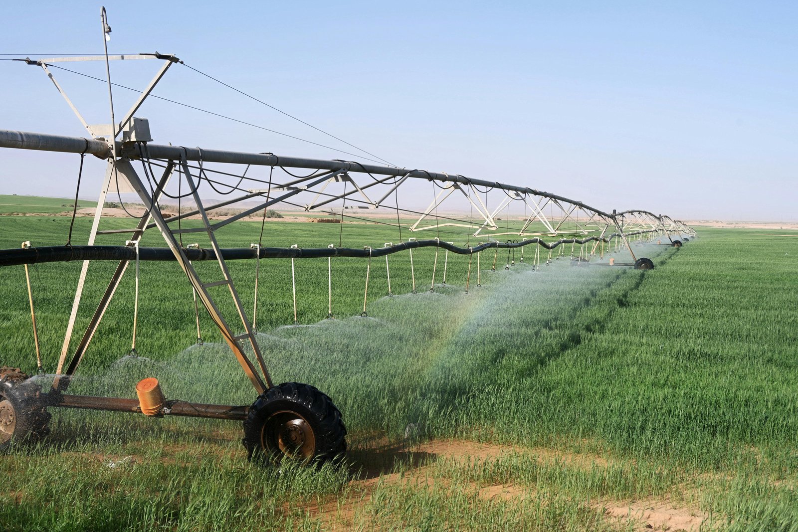 Precision Agriculture